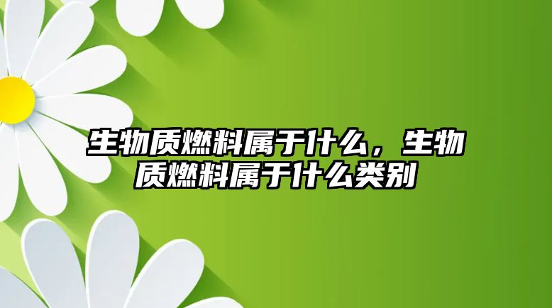 生物質(zhì)燃料屬于什么，生物質(zhì)燃料屬于什么類別