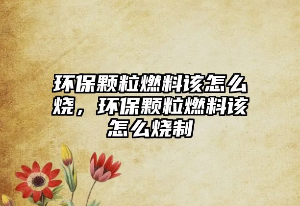 環(huán)保顆粒燃料該怎么燒，環(huán)保顆粒燃料該怎么燒制