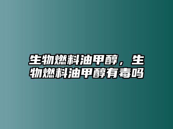 生物燃料油甲醇，生物燃料油甲醇有毒嗎