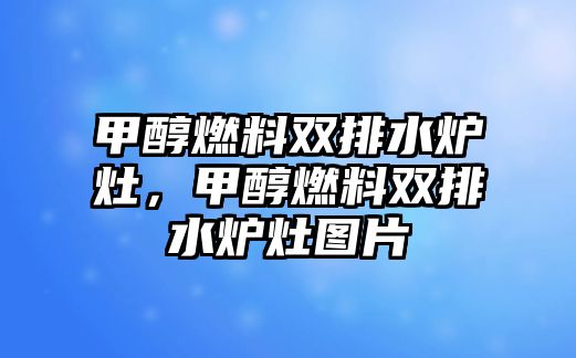 甲醇燃料雙排水爐灶，甲醇燃料雙排水爐灶圖片