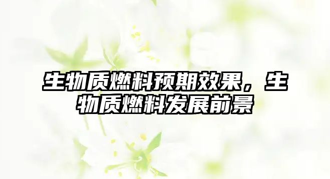 生物質(zhì)燃料預(yù)期效果，生物質(zhì)燃料發(fā)展前景