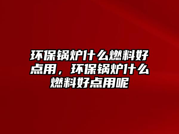 環(huán)保鍋爐什么燃料好點用，環(huán)保鍋爐什么燃料好點用呢