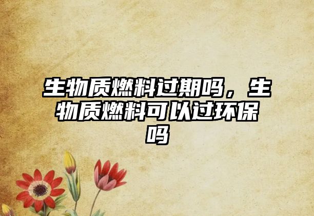 生物質(zhì)燃料過期嗎，生物質(zhì)燃料可以過環(huán)保嗎