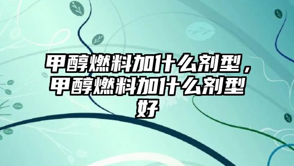 甲醇燃料加什么劑型，甲醇燃料加什么劑型好