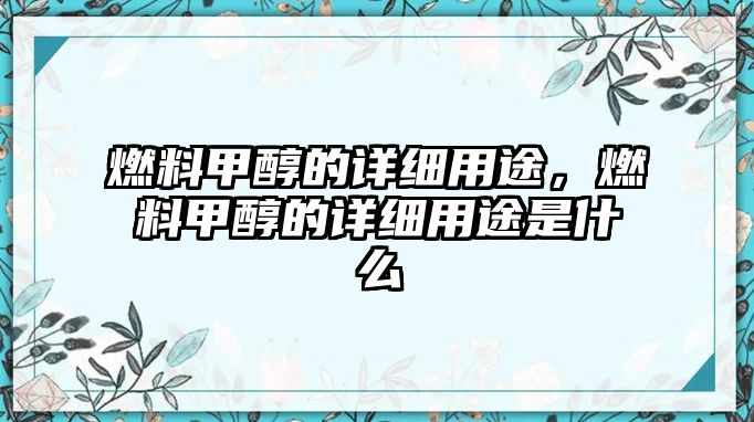 燃料甲醇的詳細(xì)用途，燃料甲醇的詳細(xì)用途是什么