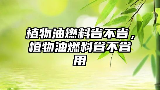 植物油燃料省不省，植物油燃料省不省用