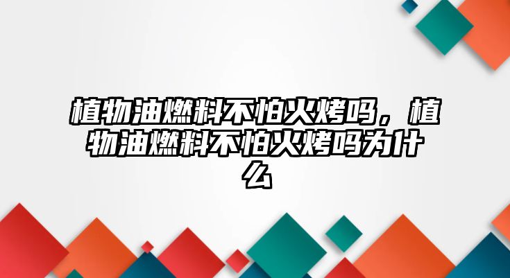 植物油燃料不怕火烤嗎，植物油燃料不怕火烤嗎為什么