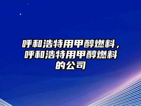 呼和浩特用甲醇燃料，呼和浩特用甲醇燃料的公司