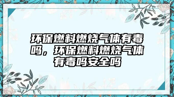 環(huán)保燃料燃燒氣體有毒嗎，環(huán)保燃料燃燒氣體有毒嗎安全嗎