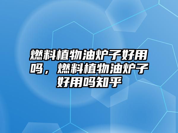 燃料植物油爐子好用嗎，燃料植物油爐子好用嗎知乎