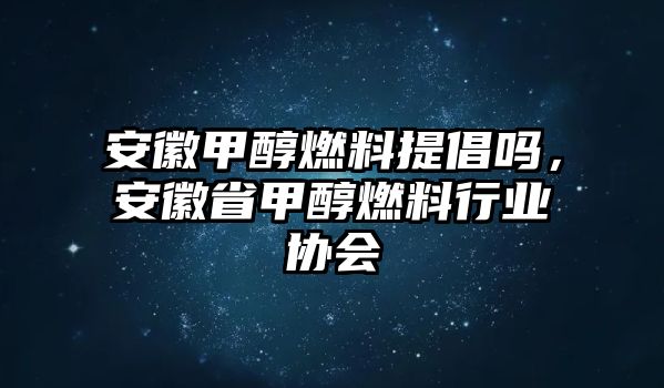 安徽甲醇燃料提倡嗎，安徽省甲醇燃料行業(yè)協(xié)會(huì)