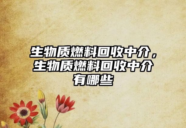 生物質(zhì)燃料回收中介，生物質(zhì)燃料回收中介有哪些