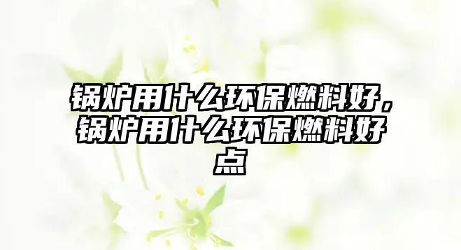 鍋爐用什么環(huán)保燃料好，鍋爐用什么環(huán)保燃料好點(diǎn)