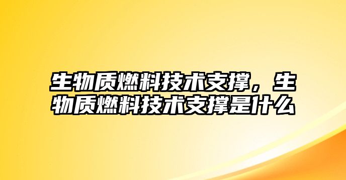 生物質(zhì)燃料技術(shù)支撐，生物質(zhì)燃料技術(shù)支撐是什么