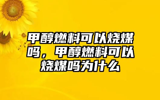 甲醇燃料可以燒煤嗎，甲醇燃料可以燒煤嗎為什么