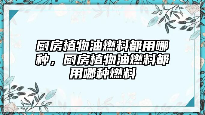 廚房植物油燃料都用哪種，廚房植物油燃料都用哪種燃料