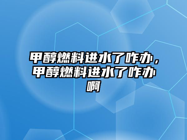 甲醇燃料進水了咋辦，甲醇燃料進水了咋辦啊