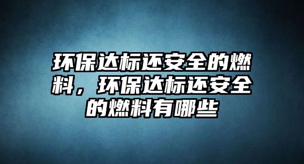 環(huán)保達(dá)標(biāo)還安全的燃料，環(huán)保達(dá)標(biāo)還安全的燃料有哪些