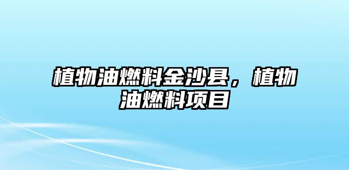 植物油燃料金沙縣，植物油燃料項目