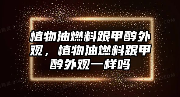 植物油燃料跟甲醇外觀，植物油燃料跟甲醇外觀一樣嗎