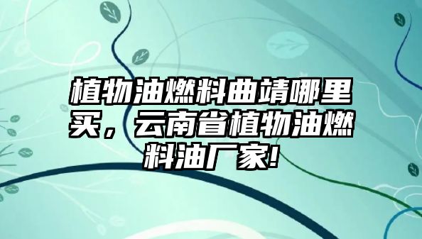 植物油燃料曲靖哪里買(mǎi)，云南省植物油燃料油廠家!