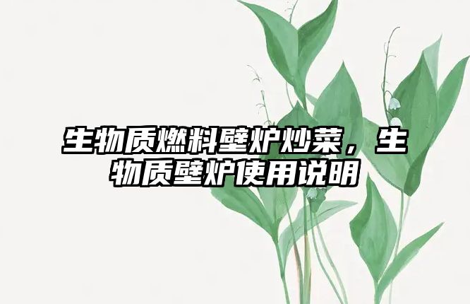 生物質(zhì)燃料壁爐炒菜，生物質(zhì)壁爐使用說明