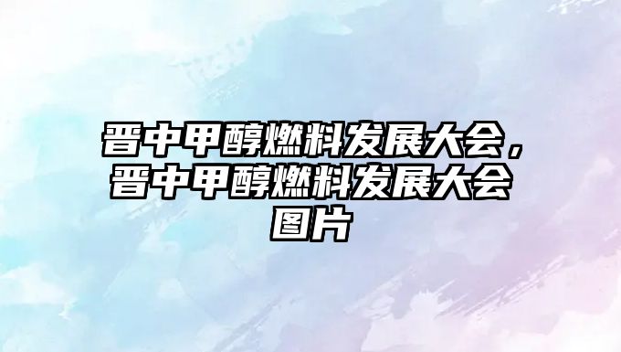 晉中甲醇燃料發(fā)展大會(huì)，晉中甲醇燃料發(fā)展大會(huì)圖片