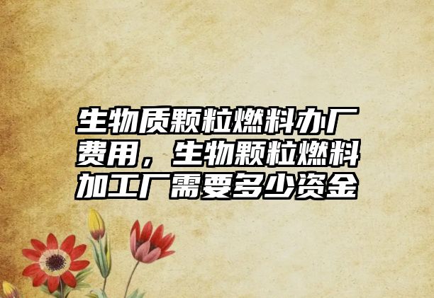 生物質(zhì)顆粒燃料辦廠費用，生物顆粒燃料加工廠需要多少資金