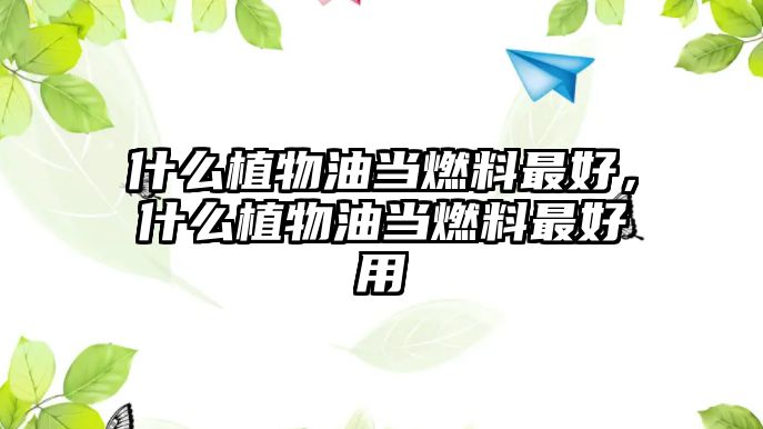 什么植物油當(dāng)燃料最好，什么植物油當(dāng)燃料最好用