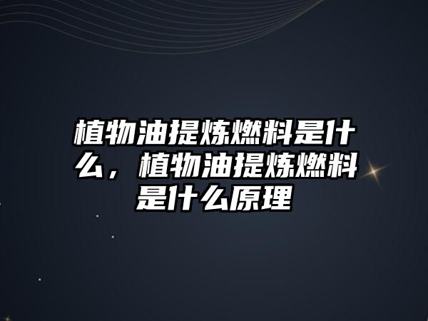 植物油提煉燃料是什么，植物油提煉燃料是什么原理