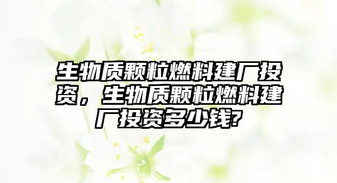 生物質(zhì)顆粒燃料建廠投資，生物質(zhì)顆粒燃料建廠投資多少錢?