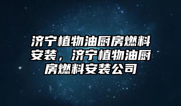 濟(jì)寧植物油廚房燃料安裝，濟(jì)寧植物油廚房燃料安裝公司