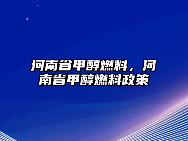 河南省甲醇燃料，河南省甲醇燃料政策