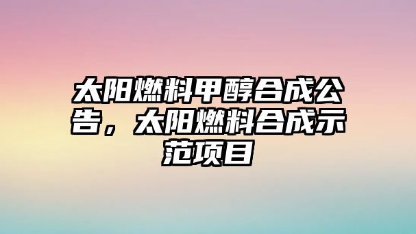 太陽燃料甲醇合成公告，太陽燃料合成示范項目