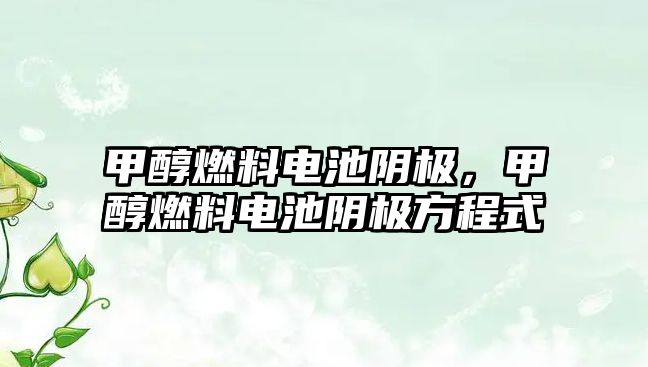 甲醇燃料電池陰極，甲醇燃料電池陰極方程式