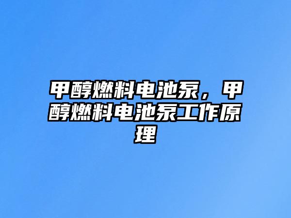 甲醇燃料電池泵，甲醇燃料電池泵工作原理