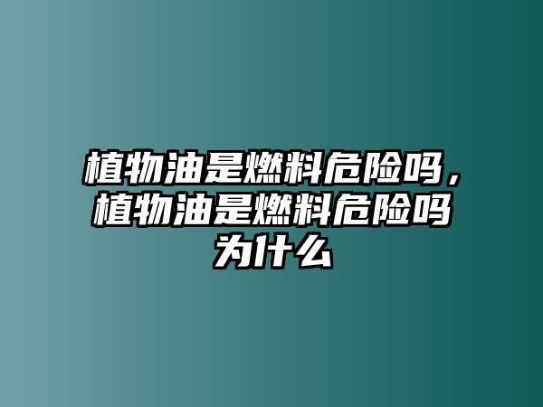 植物油是燃料危險嗎，植物油是燃料危險嗎為什么