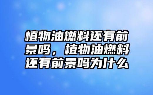 植物油燃料還有前景嗎，植物油燃料還有前景嗎為什么