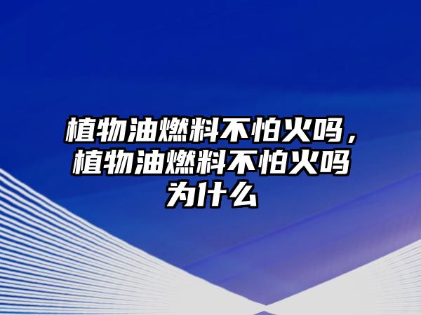 植物油燃料不怕火嗎，植物油燃料不怕火嗎為什么