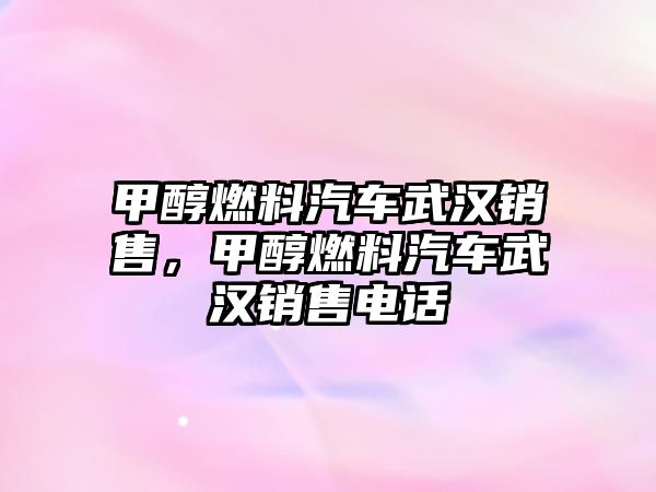 甲醇燃料汽車武漢銷售，甲醇燃料汽車武漢銷售電話