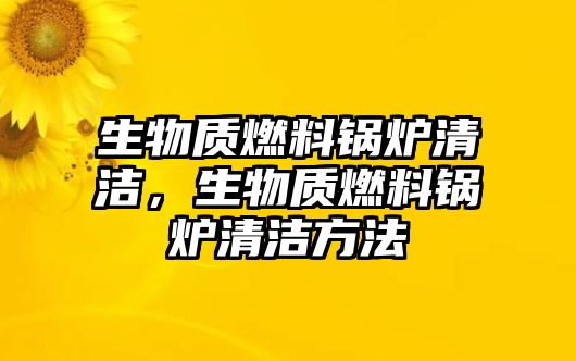 生物質(zhì)燃料鍋爐清潔，生物質(zhì)燃料鍋爐清潔方法