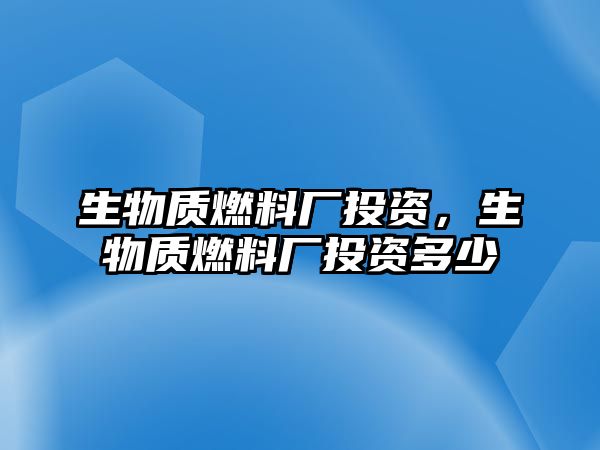 生物質燃料廠投資，生物質燃料廠投資多少