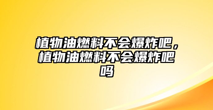 植物油燃料不會爆炸吧，植物油燃料不會爆炸吧嗎