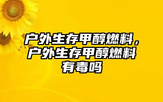 戶外生存甲醇燃料，戶外生存甲醇燃料有毒嗎