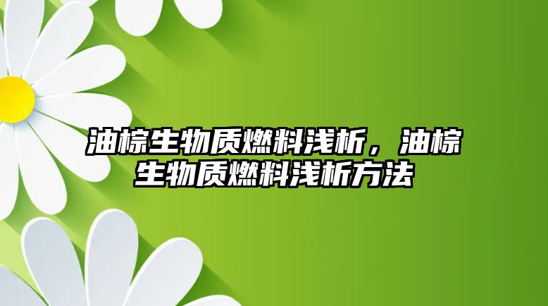 油棕生物質(zhì)燃料淺析，油棕生物質(zhì)燃料淺析方法