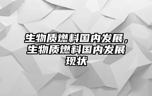 生物質(zhì)燃料國(guó)內(nèi)發(fā)展，生物質(zhì)燃料國(guó)內(nèi)發(fā)展現(xiàn)狀