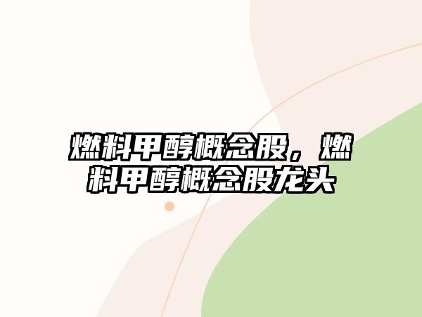 燃料甲醇概念股，燃料甲醇概念股龍頭