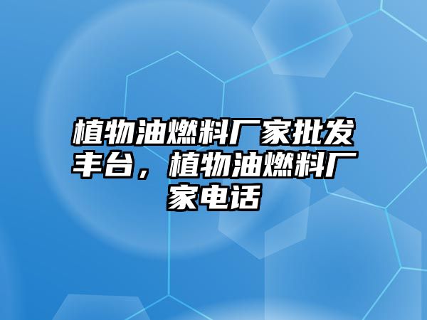 植物油燃料廠家批發(fā)豐臺，植物油燃料廠家電話