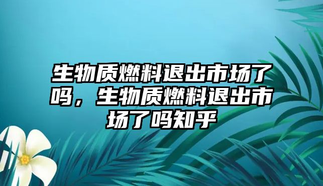 生物質(zhì)燃料退出市場了嗎，生物質(zhì)燃料退出市場了嗎知乎