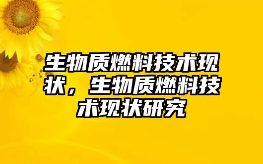 生物質(zhì)燃料技術(shù)現(xiàn)狀，生物質(zhì)燃料技術(shù)現(xiàn)狀研究